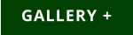 GALLERY +