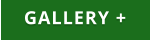 GALLERY +